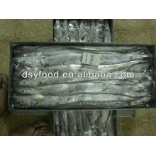 Frozen whole round ribbon fish